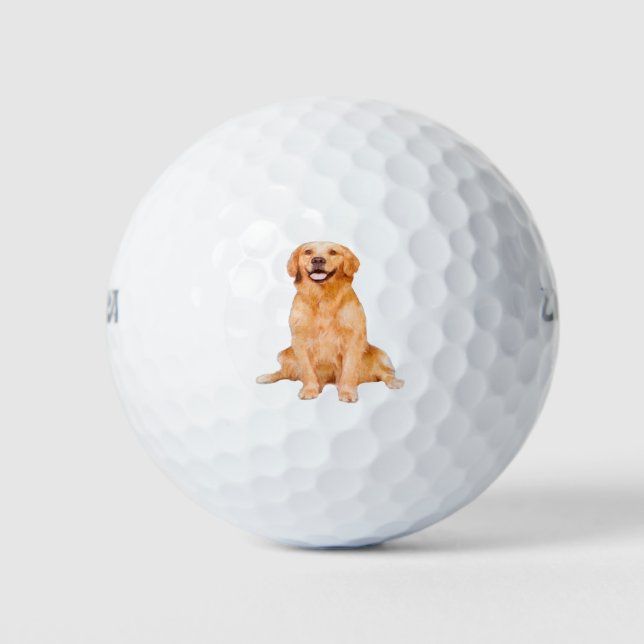 Golden Retriever Sitting - Adorable Design Golf Balls (Front)