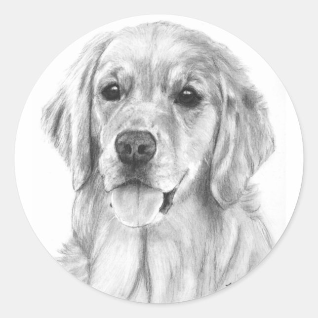 Golden Retriever Sketch Stickers (Front)