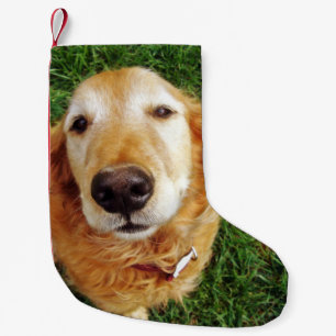 Golden Retriever Small Christmas Stocking