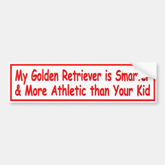 Golden Retriever 'Smart' Bumper Sticker (Front)