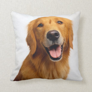 Golden Retriever Smile Cushion