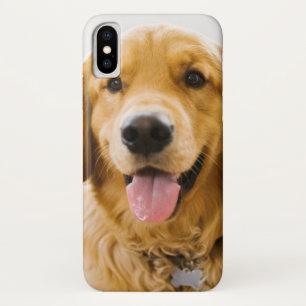Golden Retriever Smiling iPhone X Case