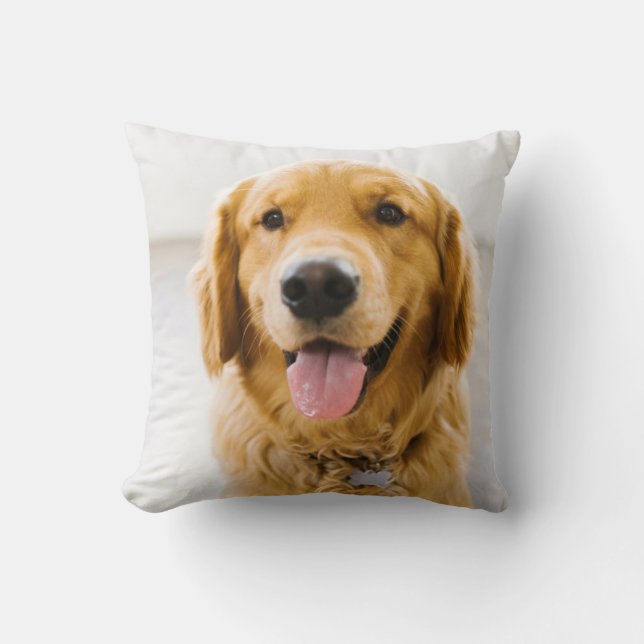 Golden Retriever Smiling Cushion (Front)