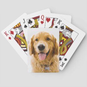 Golden Retriever Smiling Playing Cards