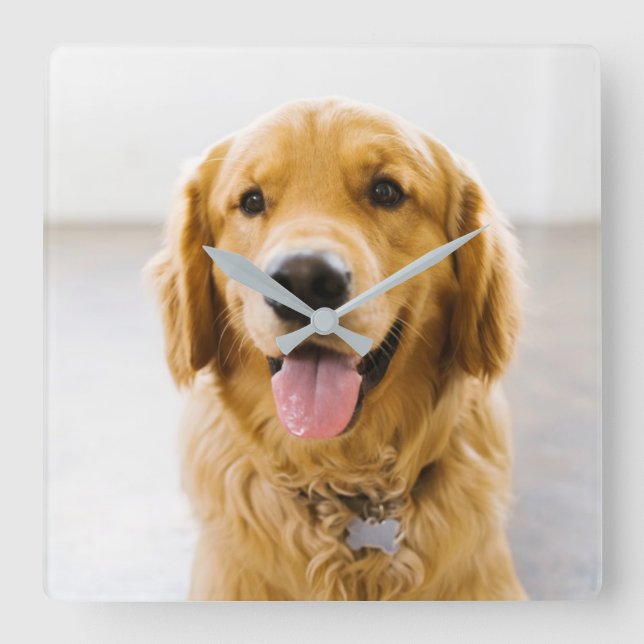 Golden Retriever Smiling Square Wall Clock (Front)