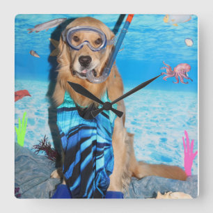 Golden Retriever Snorkeler Square Wall Clock