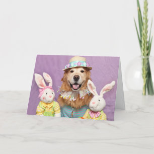 Golden Retriever Some Bunny Special Easter Card