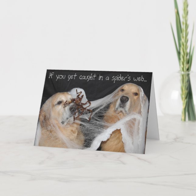 Golden Retriever Spider Web Halloween Holiday Card (Front)
