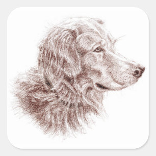 Golden Retriever Square Sticker