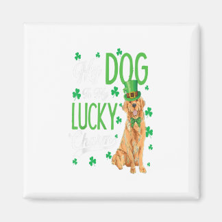 Golden Retriever St. Patricks Day Funny Dog Lover Magnet