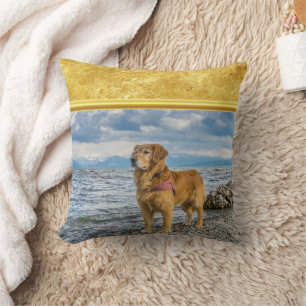 Golden Retriever standing on the blue ocean rocky Cushion