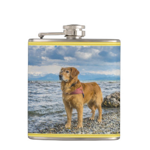 Golden Retriever standing on the blue ocean rocky Hip Flask
