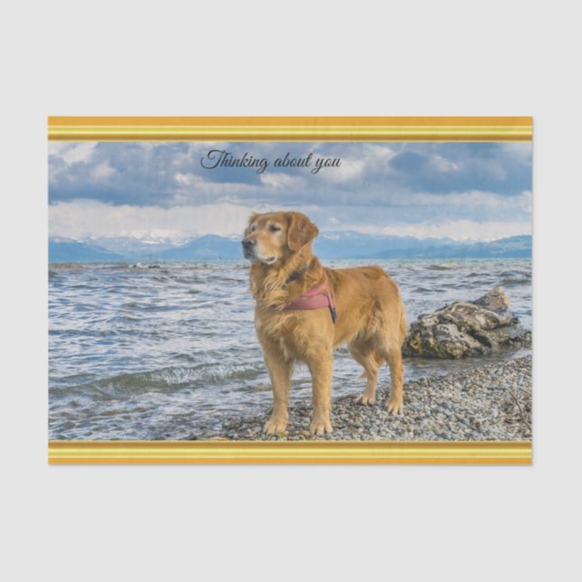 Golden Retriever standing on the blue ocean rocky Tissue Paper (Front)
