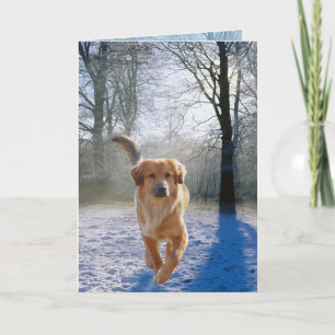 Golden Retriever sympathy card