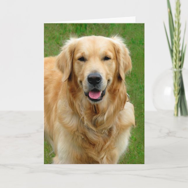 Golden Retriever Sympathy Card (Front)
