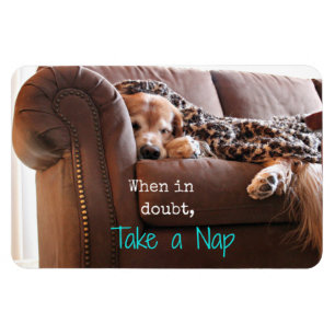 Golden Retriever Take a Nap Magnet