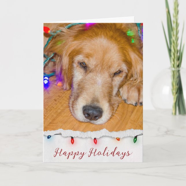 Golden Retriever Tanbled In Lights Card (Front)