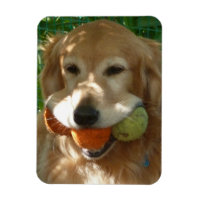 Golden Retriever & Tennis Balls Puzzle
