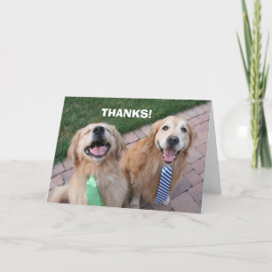 Golden Retriever Thank You Card