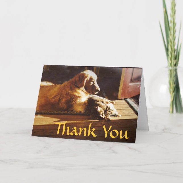 Golden Retriever Thank You Card Cat Best Friends (Front)