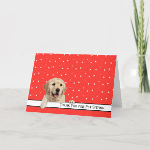 Golden Retriever Thank You for Pet Sitting Card