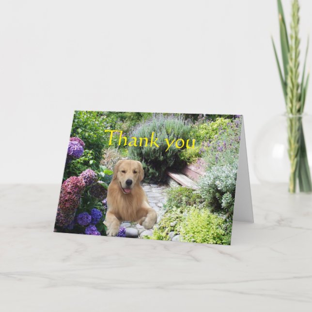 Golden Retriever Thank You In The Garden Card (Front)