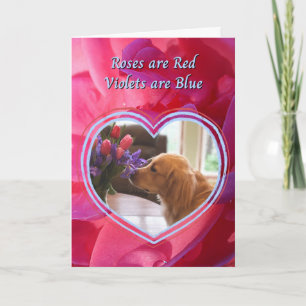 Golden Retriever The Dog is my Favourite Valentine Card