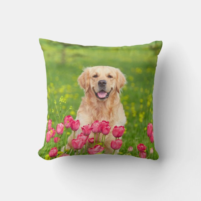 Golden Retriever Throw Pillow (Front)