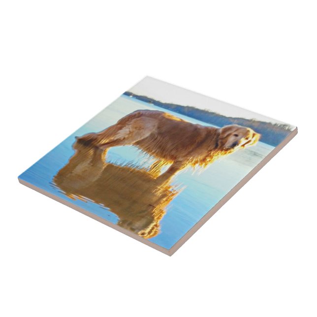 Golden Retriever Tile (Side)