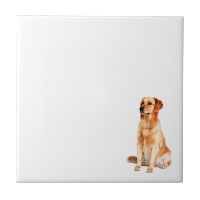 Golden Retriever Tile (Front)