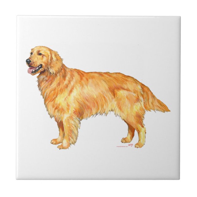 Golden Retriever Tile (Front)