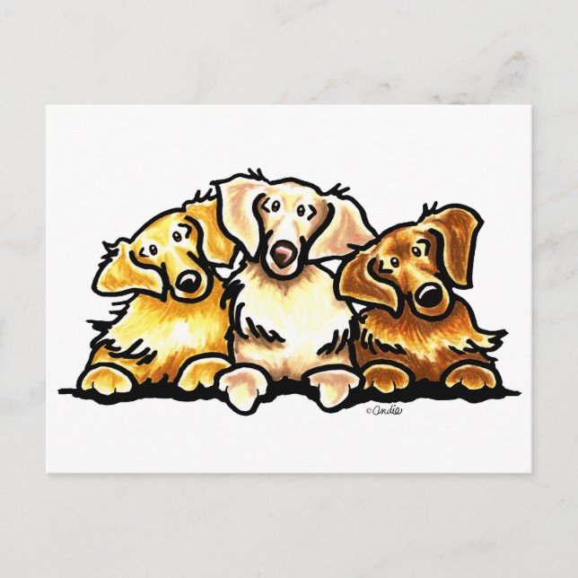 Golden Retriever Trio Postcard (Front)