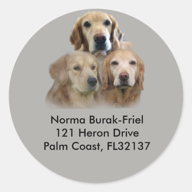 Golden Retriever Trio Return Address Stamp Classic Round Sticker (Front)