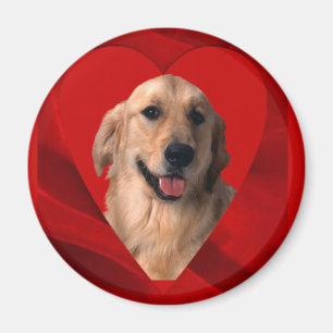Golden Retriever Valentine Magnet