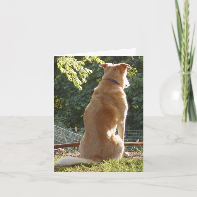 Golden Retriever Valentines Day Card (Front)