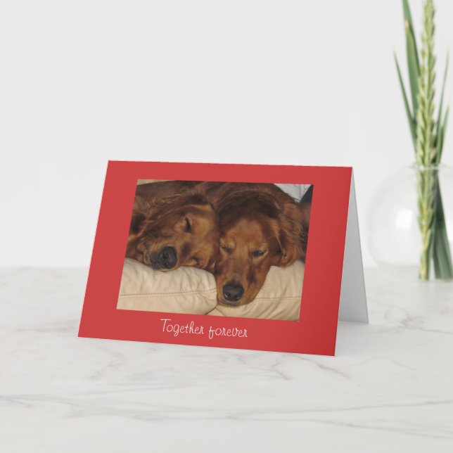 Golden Retriever Valentine's Day Card (Front)