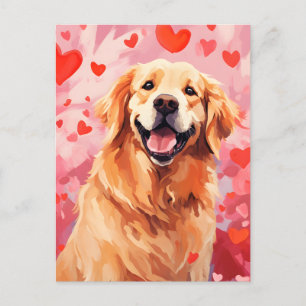 Golden Retriever Valentines day Postcard