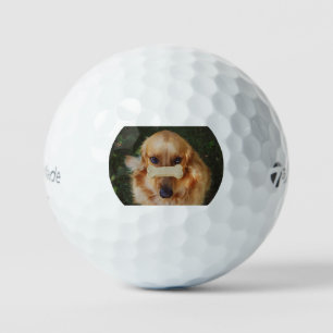 golden-retriever-w treat golf balls