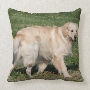 Golden Retriever Walking Cushion