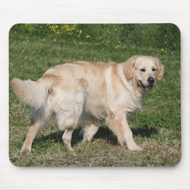 Golden Retriever Walking Mouse Pad (Front)