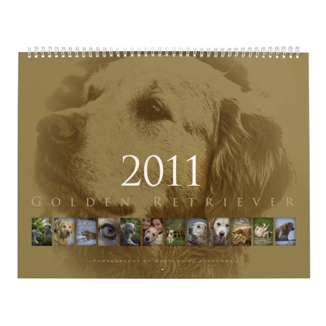 Golden Retriever - Wall Calendar 2011 (Cover)