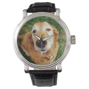 Golden Retriever Watch