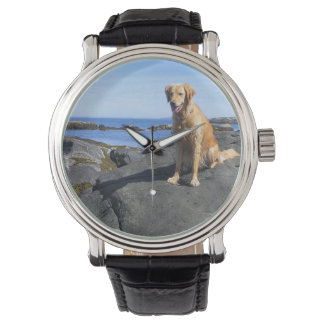 Golden Retriever Watch