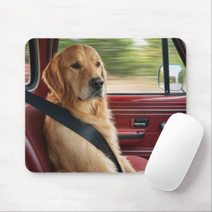 Golden Retriever Wearing a Seatbelt Mouse Pad