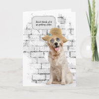 Golden Retriever wearing straw hat birthday