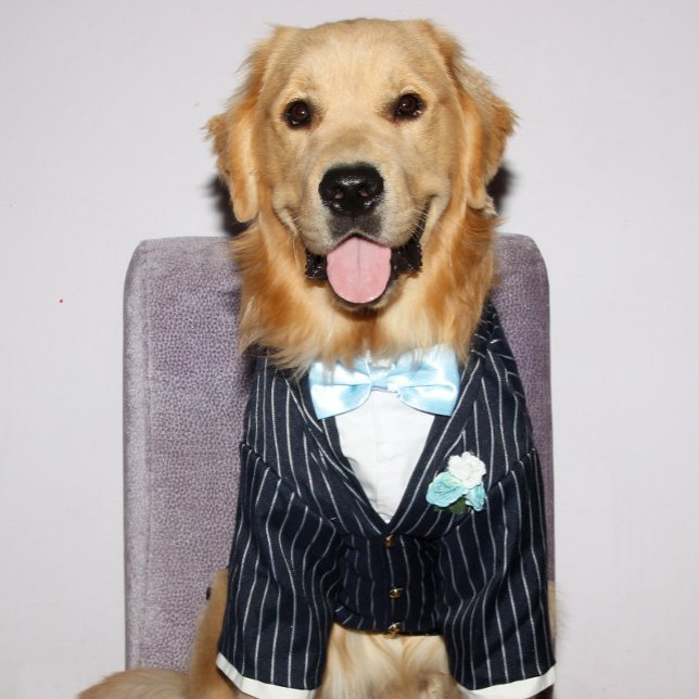 Golden Retriever Well Suited Father’s Day Holiday Card (Creator Uploaded)