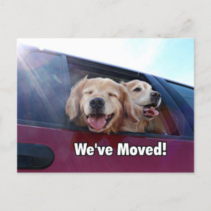Golden Retriever We've Moved New Address Announcement Postcard