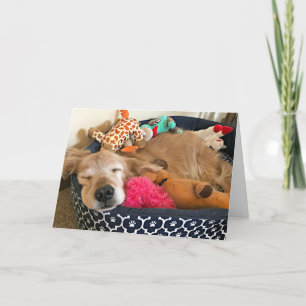 Golden Retriever Where Your Dreams Take You Card