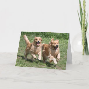 Golden Retriever Where's the Party? Card