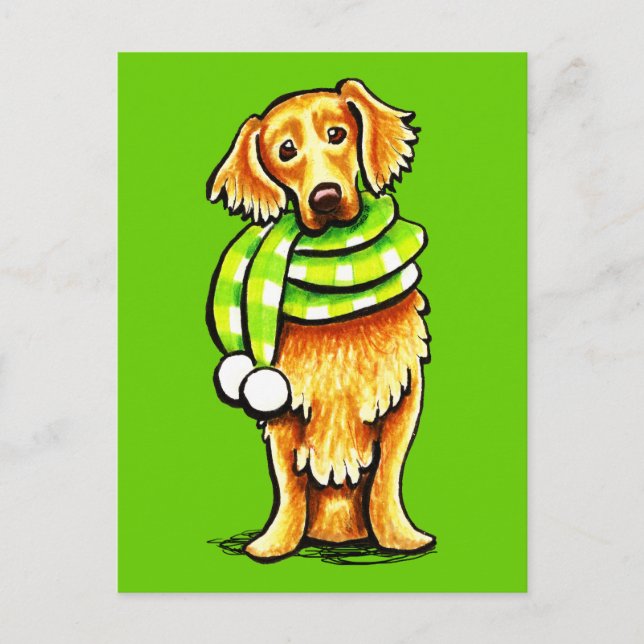Golden Retriever Winter Scarf Postcard (Front)